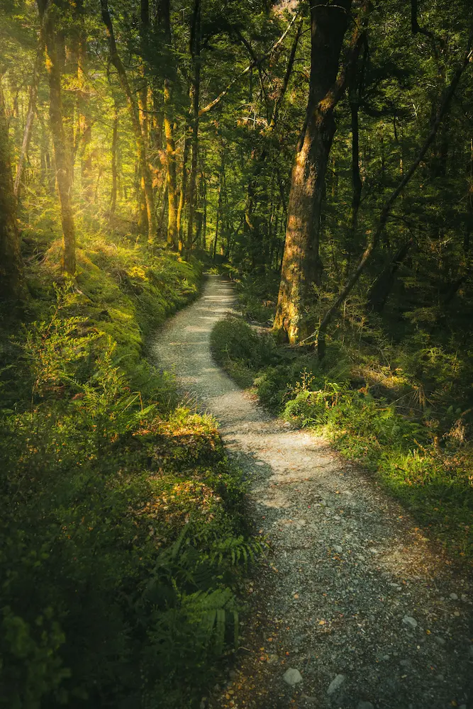 nuevos caminos